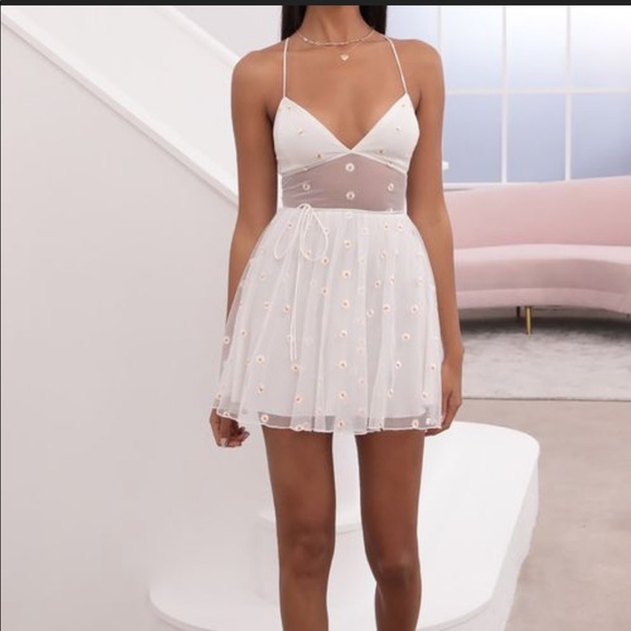 Daisy Mesh A-line Dress - Picture 5 of 5